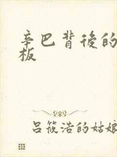 辛巴背后的人老板