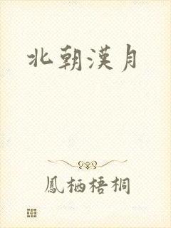 北朝汉月