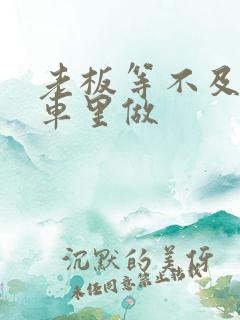 老板等不及了在车里做