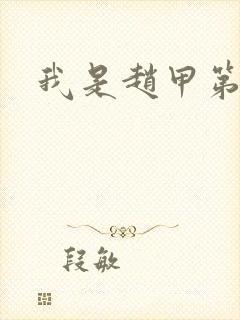 我是赵甲第小说