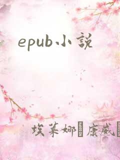 epub小说