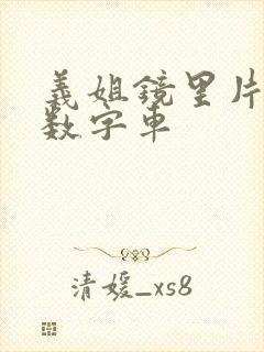 义姐镜里片微博数字车