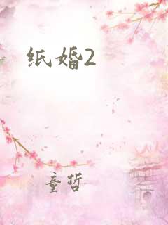 纸婚2