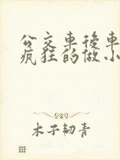 公交车后车座的疯狂的做小