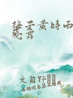 梅子黄时雨流光飞舞