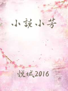 小说小芳