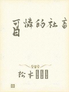 可怜的社畜东度日