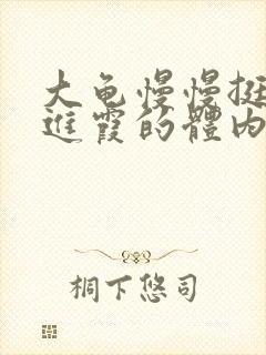 大龟慢慢挺进王进霞的体内