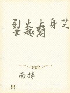 引火上身芝麻糖笔趣阁