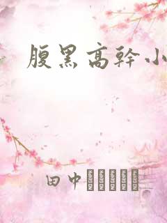 腹黑高干小说