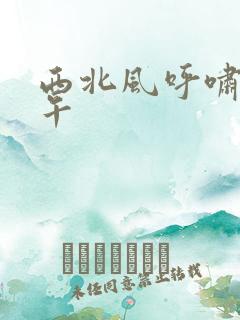 西北风呼啸的中午