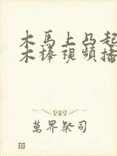 木马上凸起电动木棒视频播放