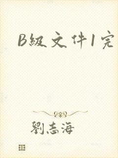 B级文件1完整