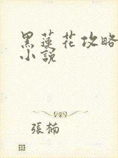 黑莲花攻略手册小说
