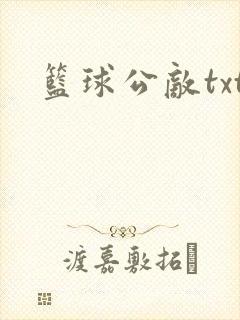 篮球公敌txt