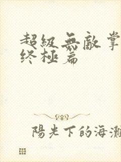 超级无敌掌门人终极篇