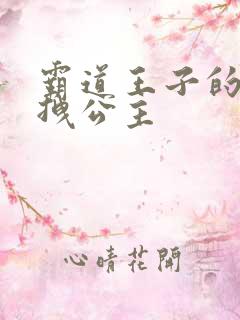 霸道王子的百变拽公主