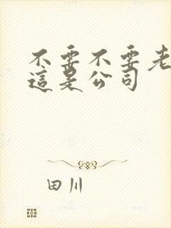 不要不要老板别这是公司