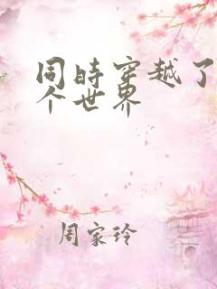 同时穿越了99个世界