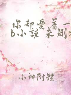 你却爱着一个sb小说 未删减完整版百度云