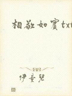 相敬如宾txt