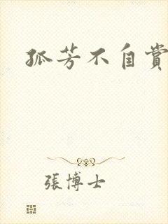 孤芳不自赏小说