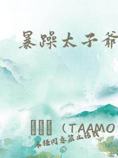 暴躁太子爷