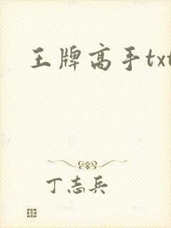 王牌高手txt