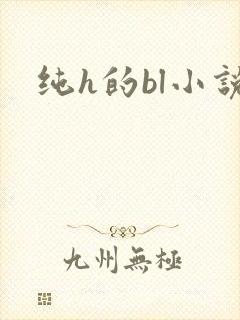 纯h的bl小说