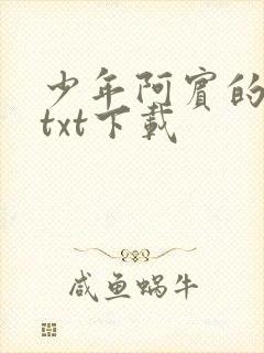 少年阿宾的故事txt下载