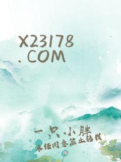 X23178 . COM