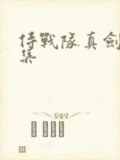 侍战队真剑者全集