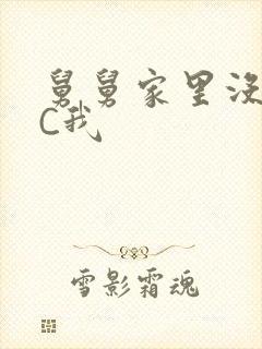 舅舅家里没人快C我