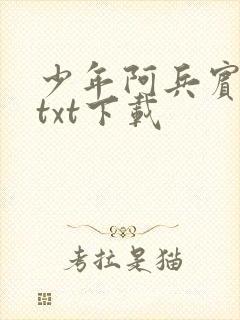 少年阿兵宾小说txt下载
