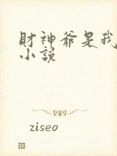 财神爷是我老板小说