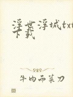 浮世浮城txt下载