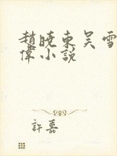 赵晓东吴雪晴郑伟小说