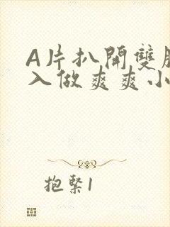 A片扒开双腿进入做爽爽小说