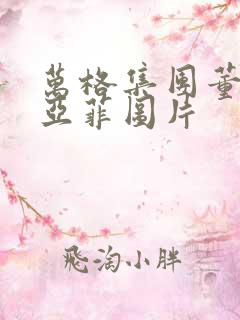 万格集团董事李亚菲图片