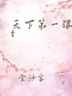 天下第一狠txt