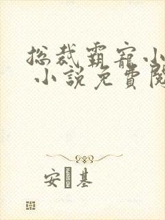 总裁霸宠小娇妻 小说免费阅读