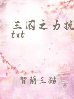 三国之力挽狂澜txt