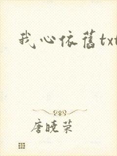 我心依旧txt