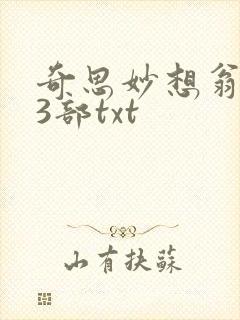 奇思妙想翁乱13部txt
