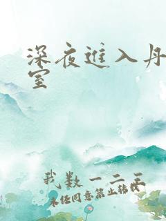 深夜进入丹丹卧室