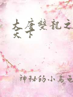 大唐双龙之无敌天下