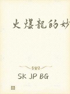 火爆龙的妙管家