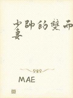 少帅的双面小娇妻