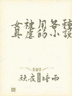 女被用各种性器具虐的小说