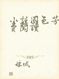 小说国色芳华免费阅读